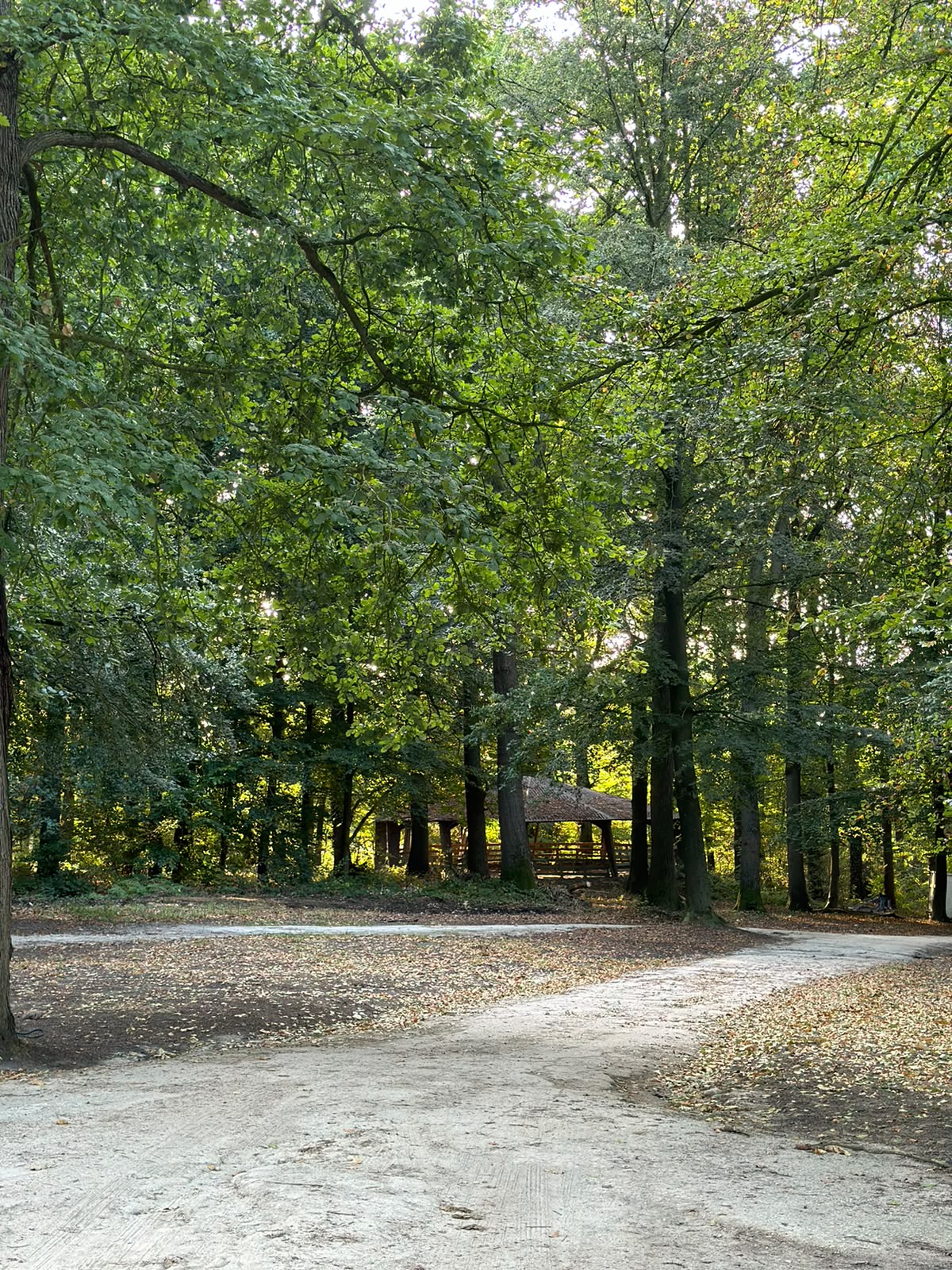 Allée extérieure entre les bâtiments des écuries
